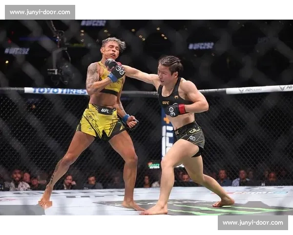 UFC 铁汉巴博萨:逆境中的终极反击 UFC 铁汉巴博萨:逆境中的终极反击